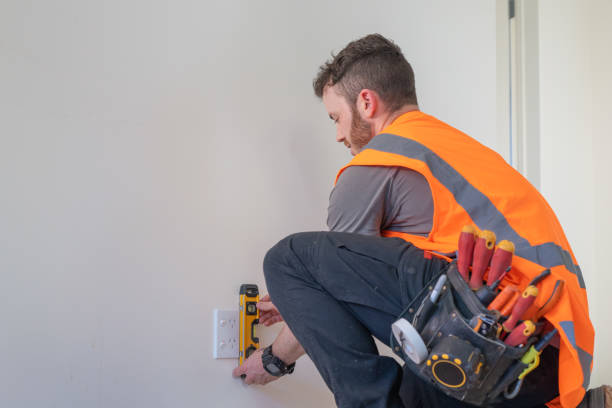 Best Electric Panel Repair  in White Knoll, SC