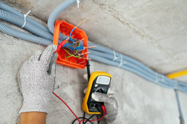 Best Electrical Repair Services  in White Knoll, SC